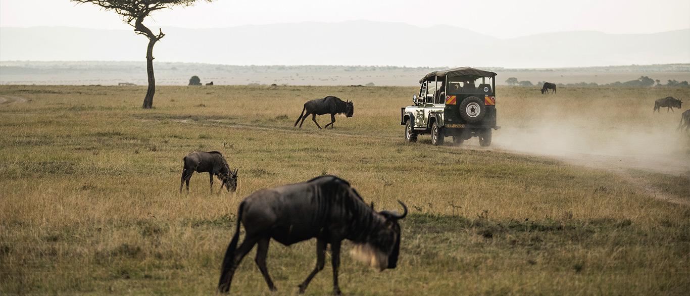 Serengeti Banner