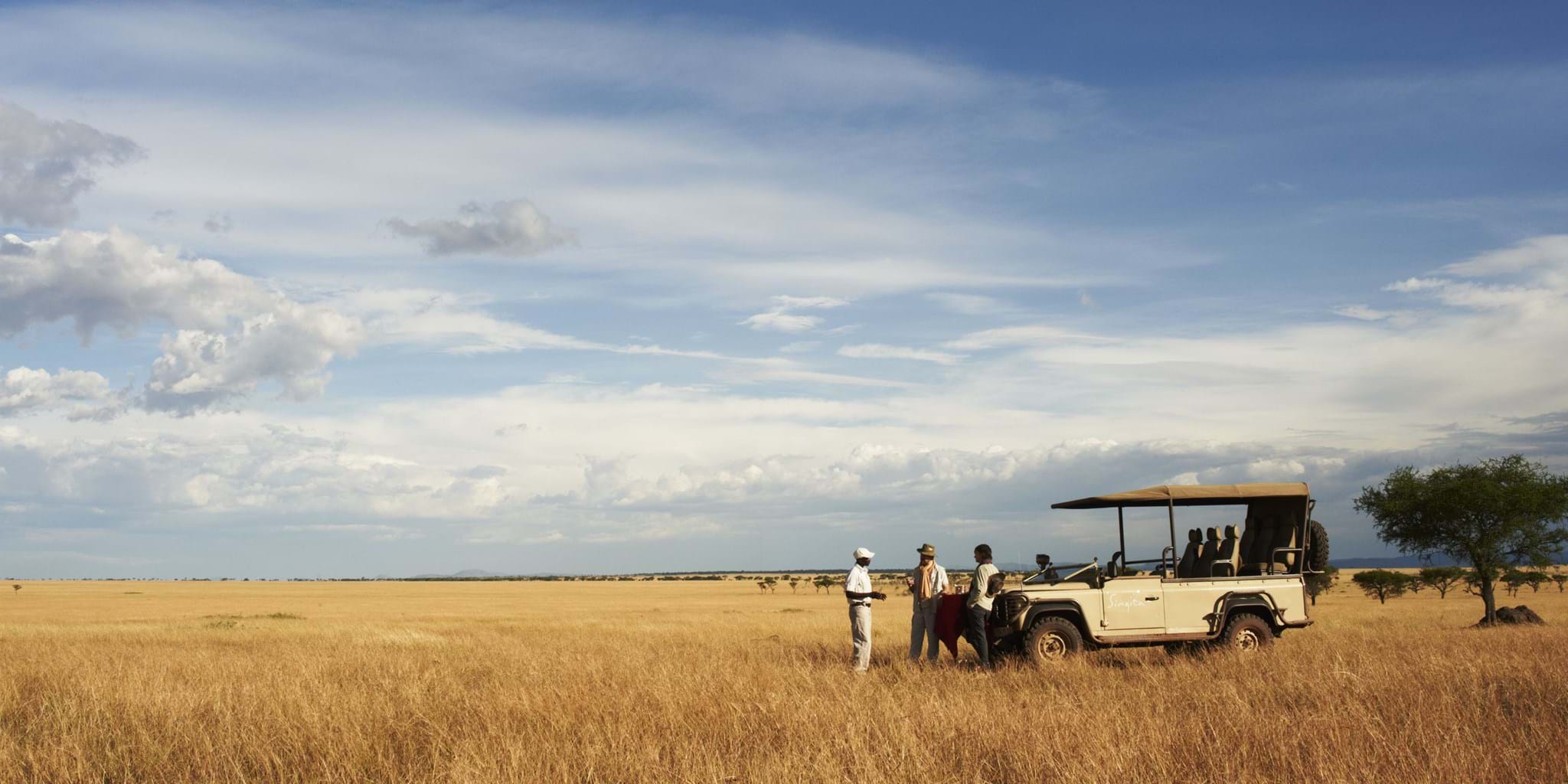 Serengeti Banner