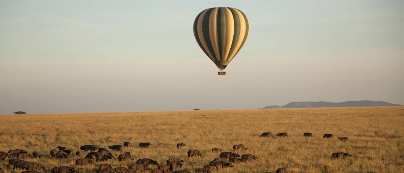 Serengeti Banner